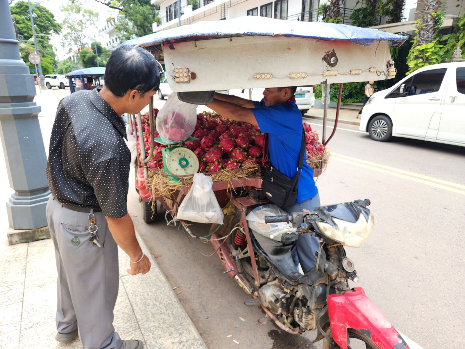 A customer stops to browse the fresh dragonfruit