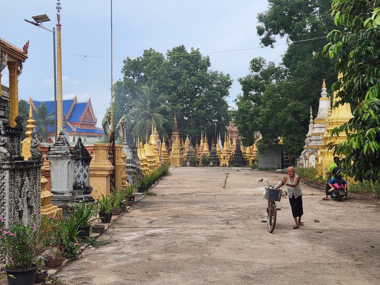 A field of golden stupas as a woman walks her bicycle through