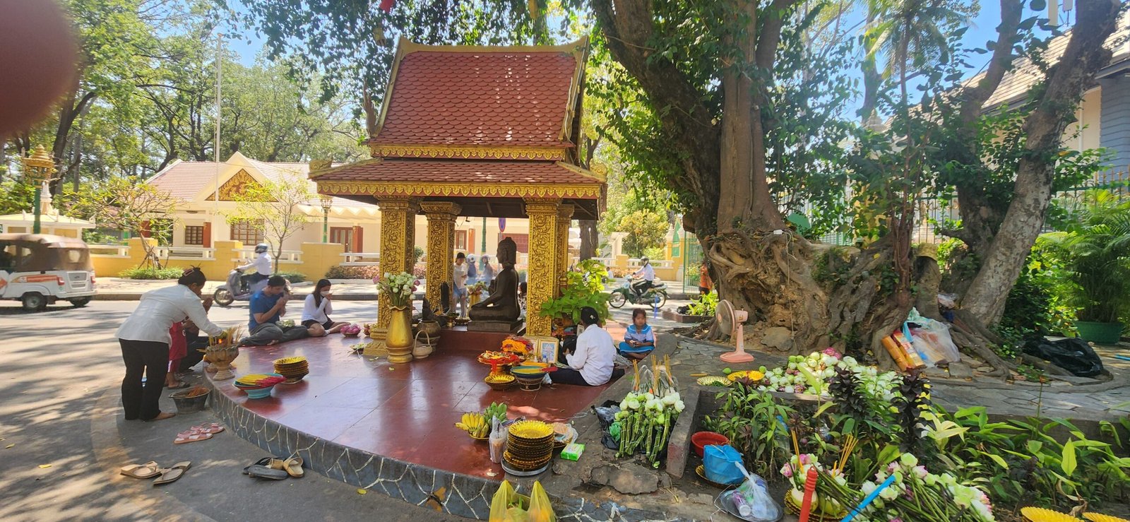The shrine pavilion and sacred bodhi tree amid daily life